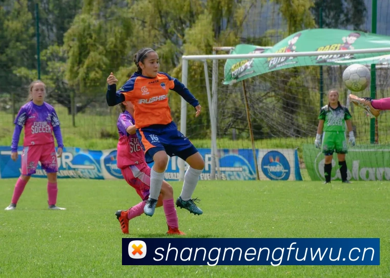 欧宝官方网站入口服务体系